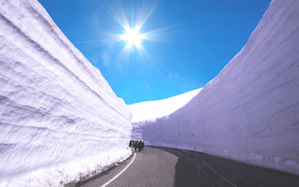 【立山黑部】富士芝櫻紫藤季6日．雙溫泉．上高地．白川合掌村．飛驒牛御膳．忍野八野．華航東京進出
