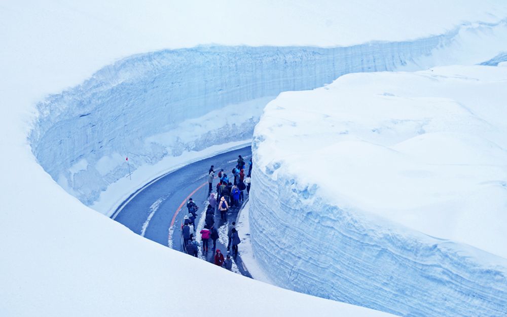 【立山黑部】富士芝櫻紫藤季5日．雙溫泉．上高地．白川合掌村．飛驒牛御膳．忍野八野．國泰航空黑部立山